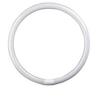Crompton Lamps Fluorescent T9 Circular FC22W/830 - 22W 4-Pin, Warm White 3000K, 10000h, GR10q Base