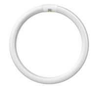 Crompton Lamps Fluorescent T9 Circular 32W 4-Pin Warm White FC32W/830