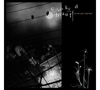 Crooked Beauty : Navigating the Space Between Brilliance and Madness