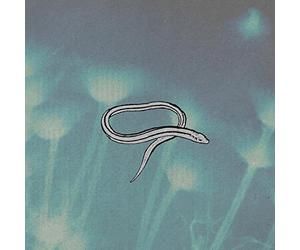 Crooked Fingers - Bring On The Snakes (Reissue) [VINYL]