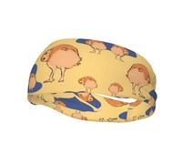 Crooked Owl Sports Sweat-Absorbing Headband Suitable for Running Yoga Fitness Cycling and Tennis