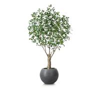 CROSOFMI Artificial Plant Indoor and Outdoor 210 cm Large Artificial Ficus Tree in Plastic Pot Tall Fake Plants for Living Room Home Decor (1 Pack)