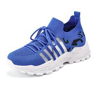Cross-Border Women Shoes Breathable Flying Woven Sports Shoes - Retro Korean Zebra Mesh Sneakers in Multiple Colors Blue