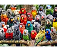 Cross & Glory - Kaleidoscope of Feathers - 1000 Piece Jigsaw Puzzle for Adults | Unique Bird Artwork | Best Challenging Puzzles for Cognitive Workout