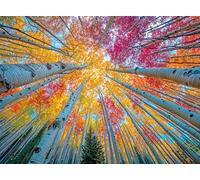 Cross & Glory - Sky Through The Aspens - 1000 Piece Jigsaw Puzzle for Adults | Golden Autumn Forest Puzzle | Vibrant Fall Nature Artwork | Premium Ribbon-Cut Puzzle with Satin Finish