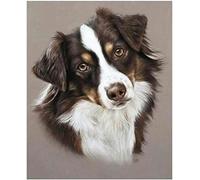 Cross Stitch Embroidery Kit Advanced Home Decoration Engraved Cross Stitch Kit Dog Animal Border Collie 11CT Adult Embroidery Pattern Printing DIY Popular Advanced Beginner - 40 x 50 cm