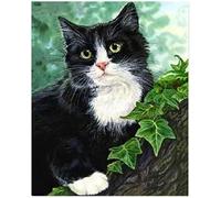 Cross Stitch Embroidery Kit Advanced Home Decoration Stamped Cross Stitch Kit Black and White Cat Animal 11CT Adult Embroidery Pattern Printing DIY Popular Advanced Beginner - 40 x 50cm