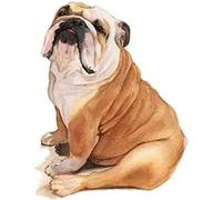 Cross Stitch Embroidery Kit Advanced Home Decoration Stamped Cross Stitch Kit English Bulldog Pet Dog Animal 11CT Adult Embroidery Pattern Printing DIY Popular Advanced Beginner - 40 x 50cm