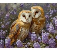 Cross Stitch Embroidery Kit, Barn Owls' Twilight Watch, Cross Kits for Adults, Easy Counted Cross Kits for Beginners,16x20inch