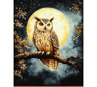 Cross Stitch Embroidery Kits, Animal owl and Moon Pre-Printed Stamped Cross Stitch Kit 11CT Embroidery Starter Kit 40x50cm