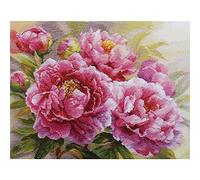 Cross Stitch Embroidery Kits for Adults Flowers - Peonies 40x30cm/15,75x11,82″ 14 Count