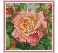 Cross Stitch Embroidery Kits for Adults Kids, WOWDECOR Beautiful Red Rose Flowers 11CT Stamped DIY DMC Needlework Easy Beginners