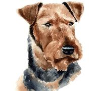 Cross Stitch Embroidery Starter Kit, Welsh Terrier, Stamped Cross Stitch 11CT Embroidery Kit for Adults Beginner DIY for Handmade Home Wall Decor Christmas Gifts 16 * 20inch