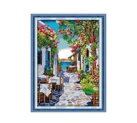 Cross Stitch Kit 14ct 11ct Count Print Canvas Stitches Embroidery DIY Handmade (Cross Stitch Fabric CT number : 11ct print canvas)