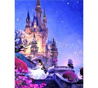 Cross Stitch Kit Beautiful Cinderella Castle in The Starry Sky Popular Pattern Printing Cross Stitch Kit 11CT Beginner Engraved Embroidery Gift DIY Advanced Handmade (40x50cm)