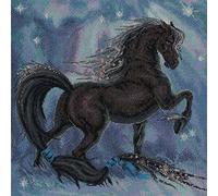 Cross Stitch Kit Black Beauty