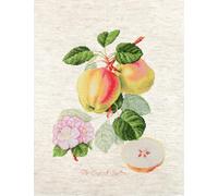 Cross Stitch Kit Luca-S - The Dutch Codlin, BA22440, Needlecraft Set