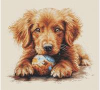 Luca-S Cross Stitch Kit The Play Time