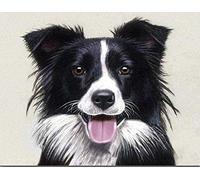 Cross Stitch Kits Adults for Beginners-Set Border Collie,DIY Cross Stitch Kits,Stitch Supplies Needlework,Art Embroidery for Home Decoration,40x50cm (11CT Pre Printed Canvas)
