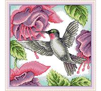 Cross Stitch Kits, Awesocrafts Hummingbirds Bird Flowers Red Easy Patterns Cross Stitching Embroidery Kit Supplies Christmas Gifts, Counted (Hummingbirds, Counted)