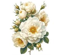 Cross Stitch Kits for Adults, Beautiful Hydrangea Flowers Stamped Cross Stitch Kits, 11CT DIY Printed Embroidery Kit for Home Wall Decor 40x50cm(K62)
