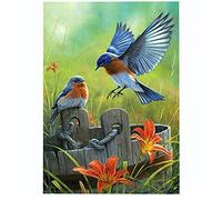 Cross Stitch Kits for Adults Beginners Gifts pre Printed Blue Robin for bedrooms DIY 11ct Stamped Cross Stitch kit Canvas Handmade Needlework UK Funny Easy Home Wall Decoration