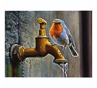 Cross Stitch Kits for Adults Beginners Gifts pre Printed Robin for bedrooms DIY 11ct Stamped Cross Stitch kit Canvas Handmade Needlework UK Funny Easy Home Wall Decoration