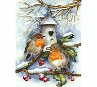 Cross Stitch Kits for Adults Beginners Gifts pre Printed Robin for bedrooms DIY 11ct Stamped Cross Stitch kit Canvas Handmade Needlework UK Funny Easy Home Wall Decoration