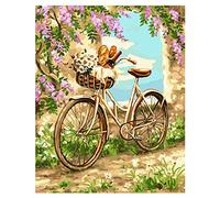 Cross Stitch Kits for Adults Beginners Pre-Printed Easy Funny Pattern UK Huahai Bicycle 11ct DIY Embroidery Crafts for Needle Point Starter Kit Home Decor Wedding Gift（16×20inch)