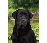 Cross Stitch Kits for Adults,Black Labrador Retriever,Printed Cross Stitch Kits for Beginners,Stamped Cross Stitch Kit for Wall Art Home Decoration 30x40cm