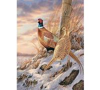 Cross Stitch Kits for Adults Embroidery Starter Kit Pheasant 40X50Cm 11Ct Preprinted Stamped Counted Cross-Stitch Supplies Needlework for Home Decoration