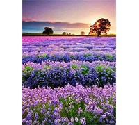 Cross Stitch Kits For Adults, Landscape Lavender Field Cross Stitch Kit Diy Embroidery Handicraft Handmade Knitting Craft Different Needle Package 11Ct Printed Cross Stitch Kits,Stamped Embroider