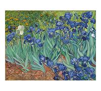 Cross Stitch Kits for Adults Pre-Printed Stamped Embroidery Kit Van Gogh Landscape DIY Cross Stitch 11Ct Embroidery Kits Craft Needlework Set Printed Canvas Cotton Thread 11Ct 40X50Cm DIY Cross
