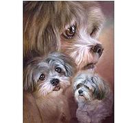 Cross Stitch Kits for Adults,Shih Tzu,Cross Stitch Kits,Stamped Embroidery Kits for Beginners,Easy Hand Fabric Craft Kits for Adults UK 50x50cm