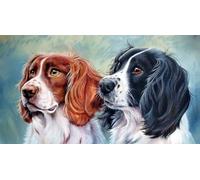 Cross Stitch Kits for Adults,Two Springer Spaniels,Printed Cross Stitch Kits for Beginners,Stamped Cross Stitch Kit for Wall Art Home Decoration 30x40cm