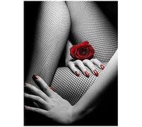 Cross Stitch Kits for Adults Woman Red and Black Printed Fabric 11Ct Cross Stitch Kit Embroidery Dmc Threads Hobby Knitting Handiwork Handmade Adults 11Ct Counted Printed Cross Stitch Kits