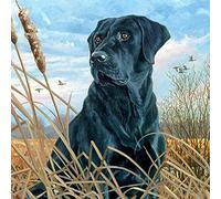 Cross Stitch Kits for Beginner Adults,Cute Black Labrador Puppy on The Grass,Stamped Cross Stitch Patterns,Easy Needlepoint Embroidery Starter Kit for Women,DIY Needlework Supplies -16X20 Inch