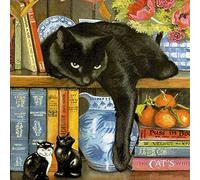 Cross Stitch Kits for Beginners Adults,Black Cat On The Bookshelf,11CT Stamped 3 Strands,Easy Embroidery Cross-Stitch Needlework Home Decoration,16x20 inch
