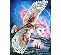 Cross Stitch Kits for Beginners Adults,Cute Owl,11CT Stamped 3 Strands,Easy Embroidery Cross-Stitch Needlework Home Decoration,16x20 inch
