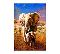Cross Stitch Kits for Beginners Adults Pre-Printed Easy Funny Pattern UK Elephant Forest 11ct DIY Embroidery Crafts for Needle Point Starter Kit Home Decor Gift（16×20inch)