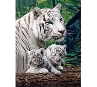 Cross Stitch Kits Pre Printed Pattern Counted Embroidery Starter Kits for Beginner Kids and Adults 16x20 inch-Animal White Tiger