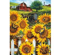 Cross Stitch Kits Stamped, OWN4B Beautiful Sunflowers Printed Pattern 11CT 14.2x18.1 inch DIY Embroidery Kit (Sunflowers)