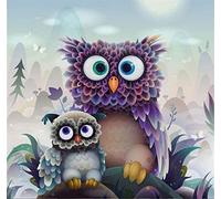 Cross Stitch Kits Stamped, OWN4B Lovely Owls Printed Pattern 11CT 14.2x14.2 inch DIY Embroidery Kit (Owls)