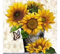 Cross Stitch Kits Stamped, OWN4B Sunflowers and Butterfly Printed Pattern 11CT 14.2x14.2 inch DIY Embroidery Kit (Sunflower)