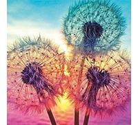 Cross Stitch Kits Stamped, OWN4B Sunset and Colorful Dandelions Printed Pattern 11CT 14.2x14.2 inch DIY Embroidery Kit (Dandelion)