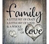 Cross Stitch Kits Stamped, OWN4B Warm Inspirational Sentences Printed Pattern 11CT 14.2x14.2 inch DIY Embroidery Kit (Family)