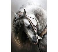 Cross Stitch Kits Stamped, OWN4B White Horse Printed Pattern 11CT 14.2x18.1 inch DIY Embroidery Kit (Horse)