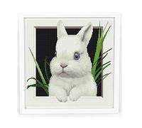 Cross Stitch Patterns for Adults, Easy Modern Counted Simple DMC Embroidery Animal Patterns for Beginners, Easter Cute Rabbit 3 D Design, Home Wall Decor DIY, Hobbies for Women, Digital Download