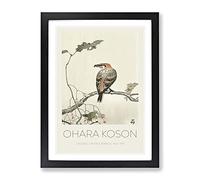 Crossbill On A Tree Branch By Ohara Koson Exhibition Museum Asian Japanese Framed Wall Art Print, Ready to Hang Picture for Living Room Bedroom Home Office Décor, Black A3 (34 x 46 cm)