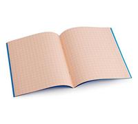 Crossbow Education Dyslexia Tinted Exercise Books - 9" x 7" - 10mm squared - Salmon (10 Pack)